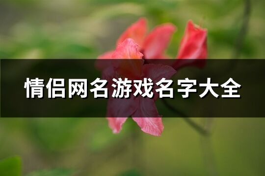 情侣网名游戏名字大全(精选234个)