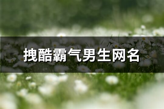 拽酷霸气男生网名(358个)