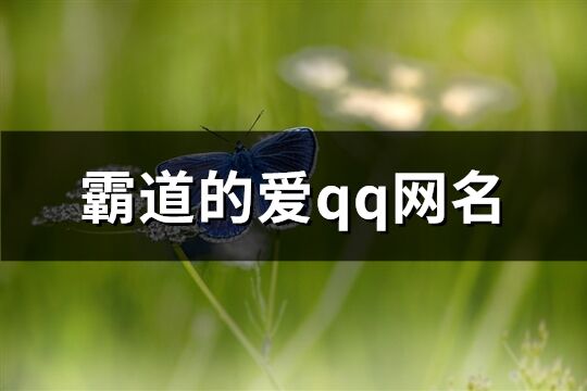 霸道的爱qq网名(精选154个)