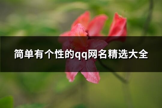 简单有个性的qq网名精选大全(共1423个)