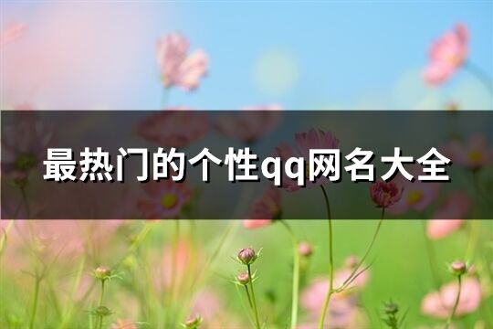 最热门的个性qq网名大全(共63个)