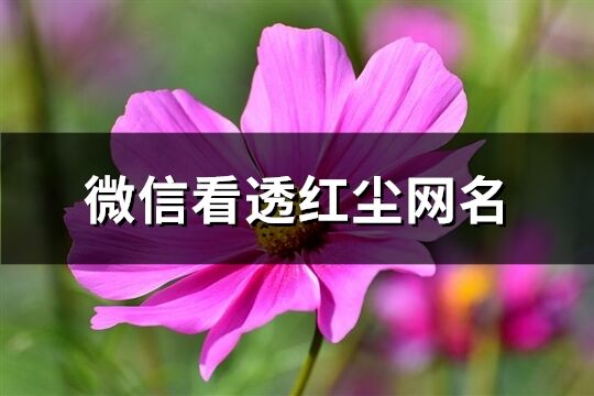 微信看透红尘网名(精选129个)