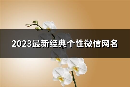 2023最新经典个性微信网名(1952个)