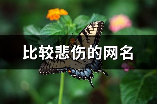 比较悲伤的网名(共387个)