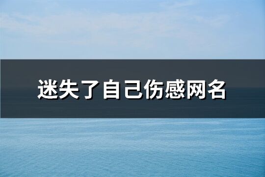 迷失了自己伤感网名(共384个)