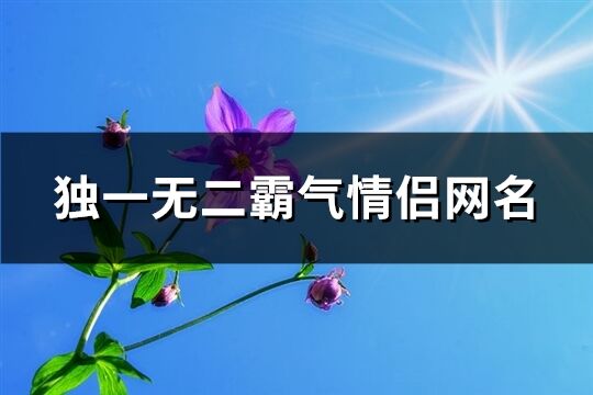 独一无二霸气情侣网名(共111个)