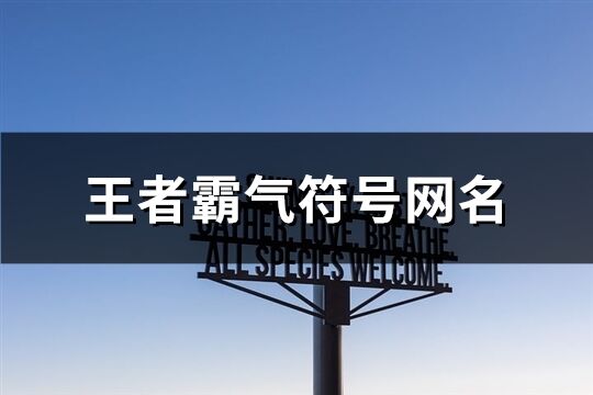 王者霸气符号网名(精选162个)