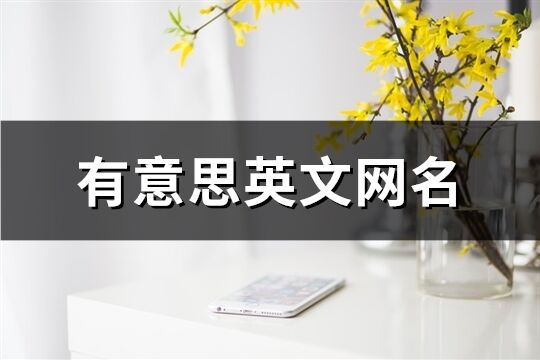 有意思英文网名(98个)