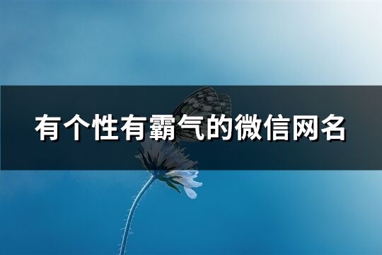 有个性有霸气的微信网名(共201个)