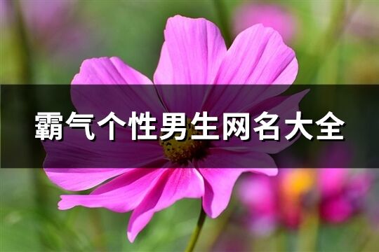 霸气个性男生网名大全(共876个)