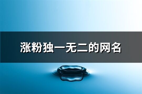 涨粉独一无二的网名(精选335个)