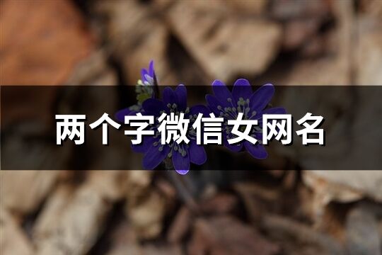 两个字微信女网名(975个)