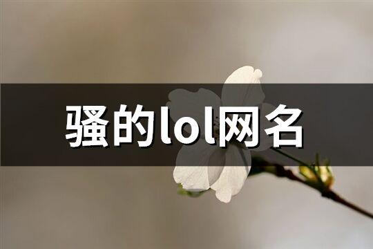 骚的lol网名(精选91个)