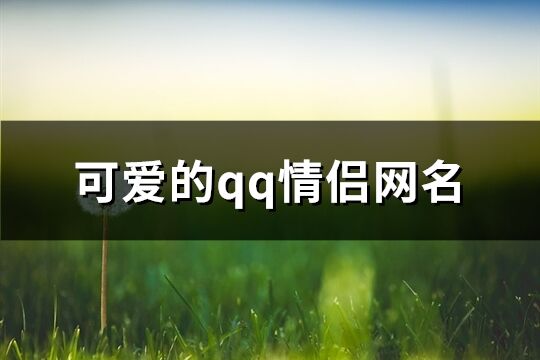 可爱的qq情侣网名(398个)