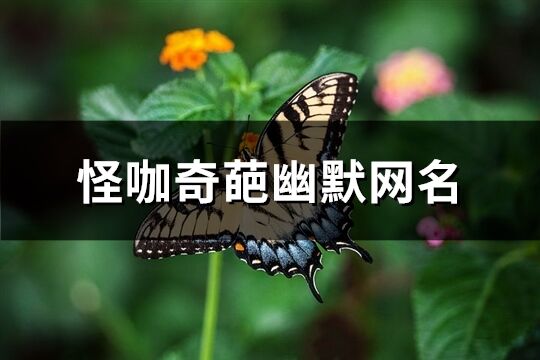 怪咖奇葩幽默网名(341个)