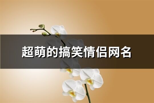 超萌的搞笑情侣网名(74个)