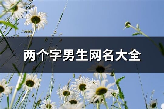 两个字男生网名大全(精选1497个)