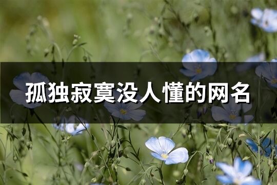 孤独寂寞没人懂的网名(精选548个)