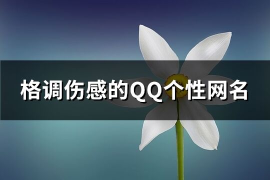 格调伤感的QQ个性网名(精选125个)