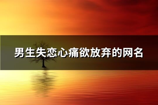 男生失恋心痛欲放弃的网名(精选307个)