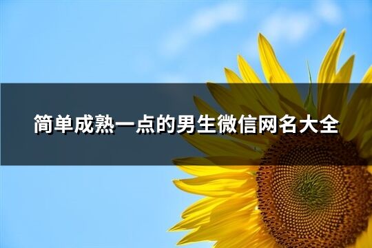 简单成熟一点的男生微信网名大全(精选1128个)