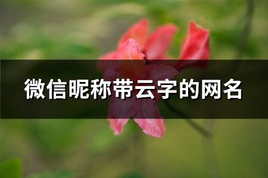 微信昵称带云字的网名(255个)