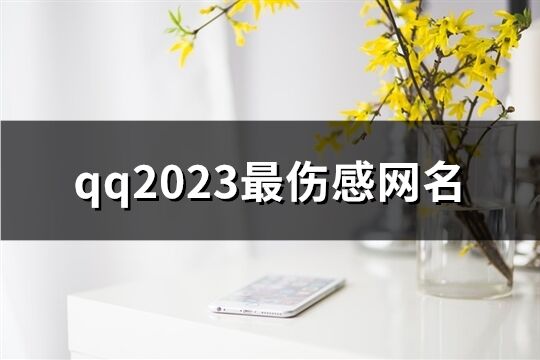 qq2023最伤感网名(共638个)