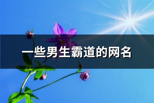 一些男生霸道的网名(共331个)