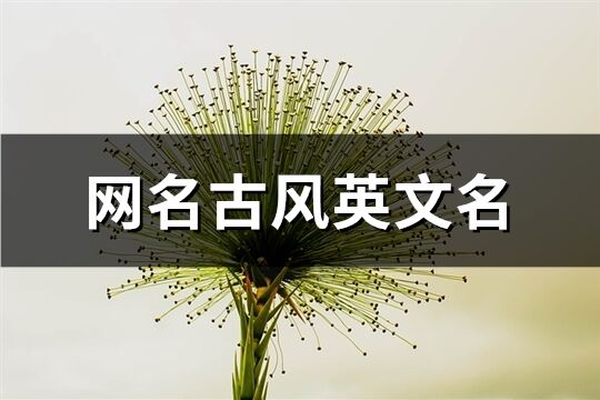 网名古风英文名(共126个)