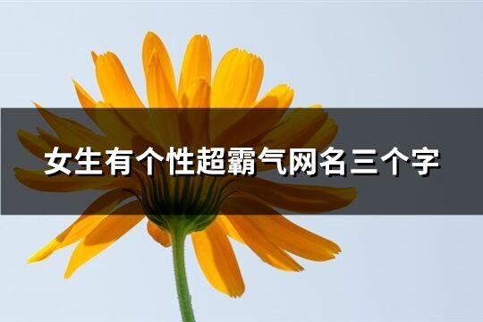 女生有个性超霸气网名三个字(共792个)