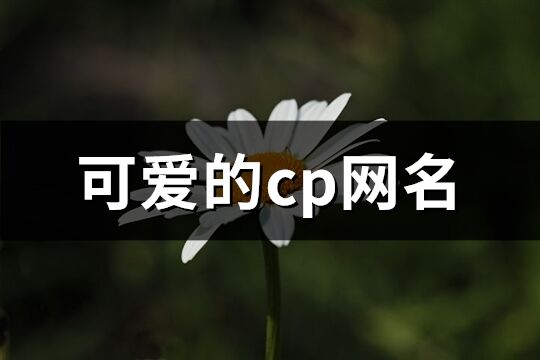 可爱的cp网名(468个)