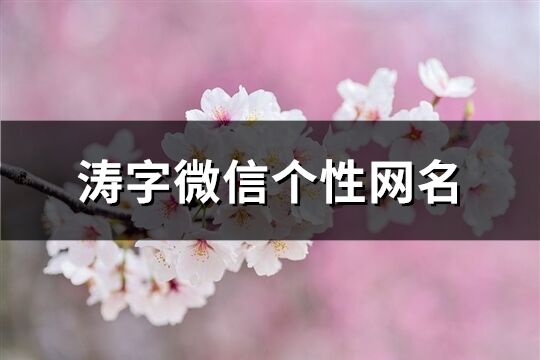 涛字微信个性网名(精选80个)