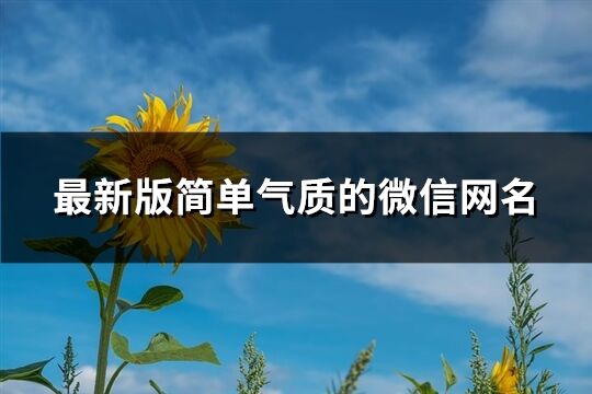 最新版简单气质的微信网名(共3104个)