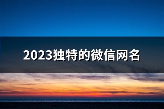 2023独特的微信网名(共2769个)