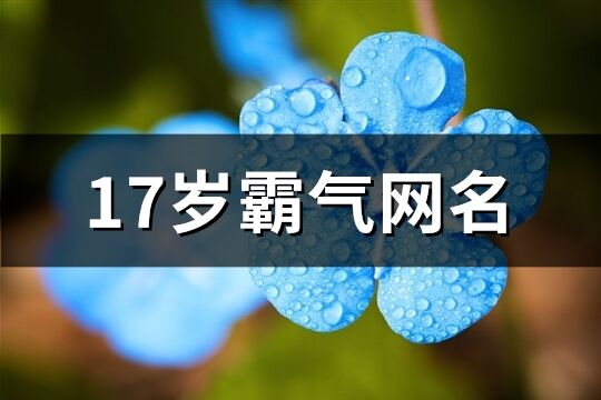 17岁霸气网名(735个)