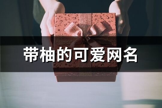 带柚的可爱网名(精选192个)