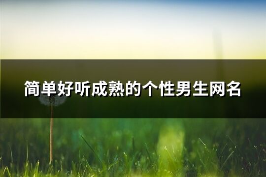 简单好听成熟的个性男生网名(共1150个)