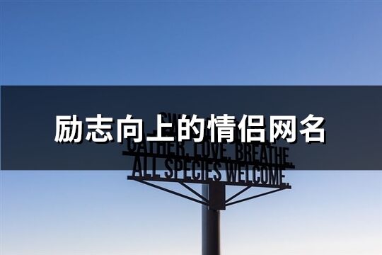 励志向上的情侣网名(共85个)