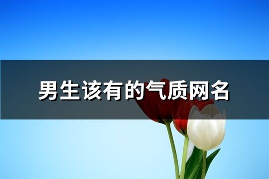 男生该有的气质网名(共319个)