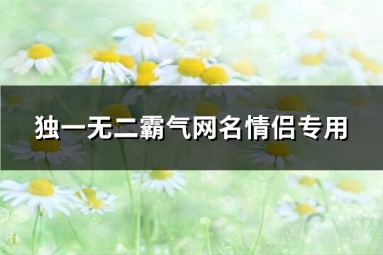 独一无二霸气网名情侣专用(290个)