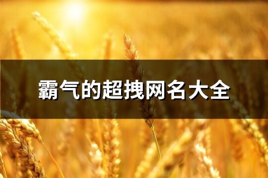 霸气的超拽网名大全(共137个)