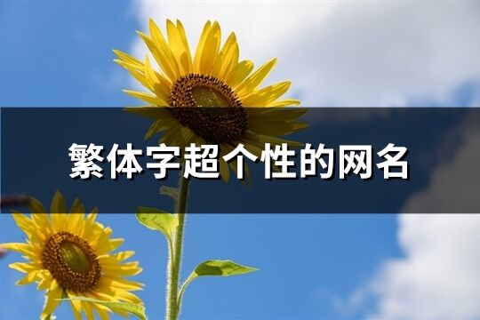 繁体字超个性的网名(共299个)