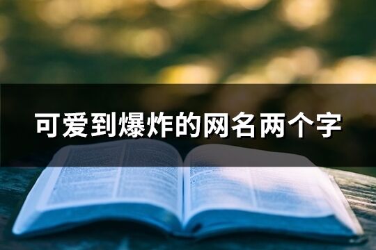 可爱到爆炸的网名两个字(1622个)