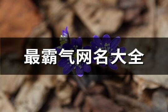 最霸气网名大全(共478个)