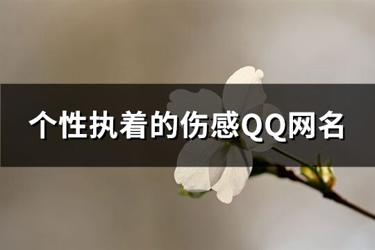 个性执着的伤感QQ网名(275个)