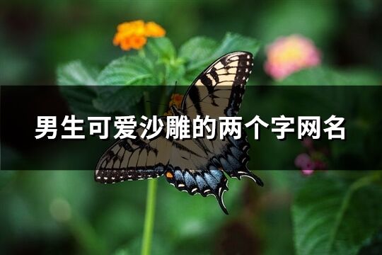 男生可爱沙雕的两个字网名(精选765个)