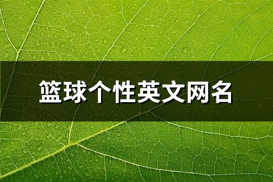 篮球个性英文网名(136个)