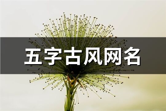 五字古风网名(560个)