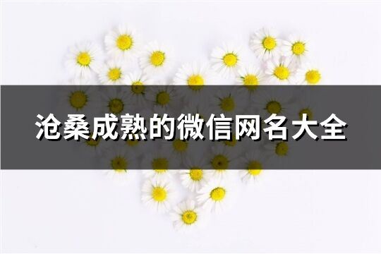 沧桑成熟的微信网名大全(共323个)