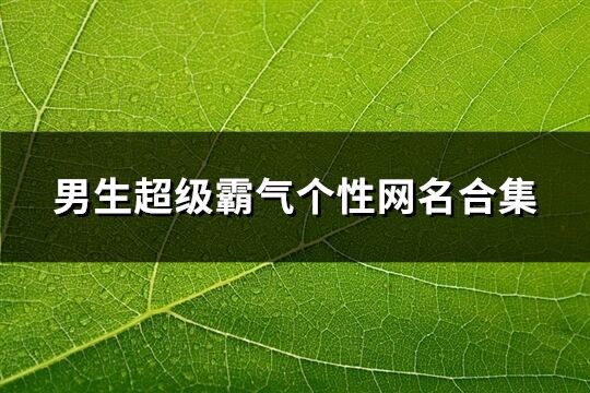 男生超级霸气个性网名合集(1010个)